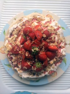 pavlova 3